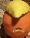 1692973006032.png
