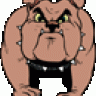 oldskoolbulldog