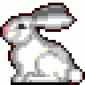 89rabbit