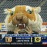 dustinadam