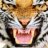Clarksdale_Wildcat