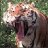 East Tex Tiger
